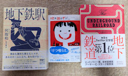 朝日新聞に「朝子」の記事が載っていました