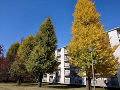 その一、電線なしバージョン