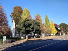 その三、電線なしバージョン