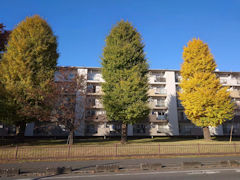 その四、電線なしバージョン