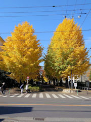 牛肉どまん中弁当の別味も買ってみました