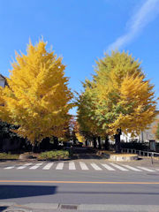 牛肉どまん中弁当の別味も買ってみました